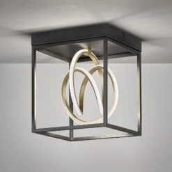 Plafonnier LED Gisi, CCT, à Une Lampe